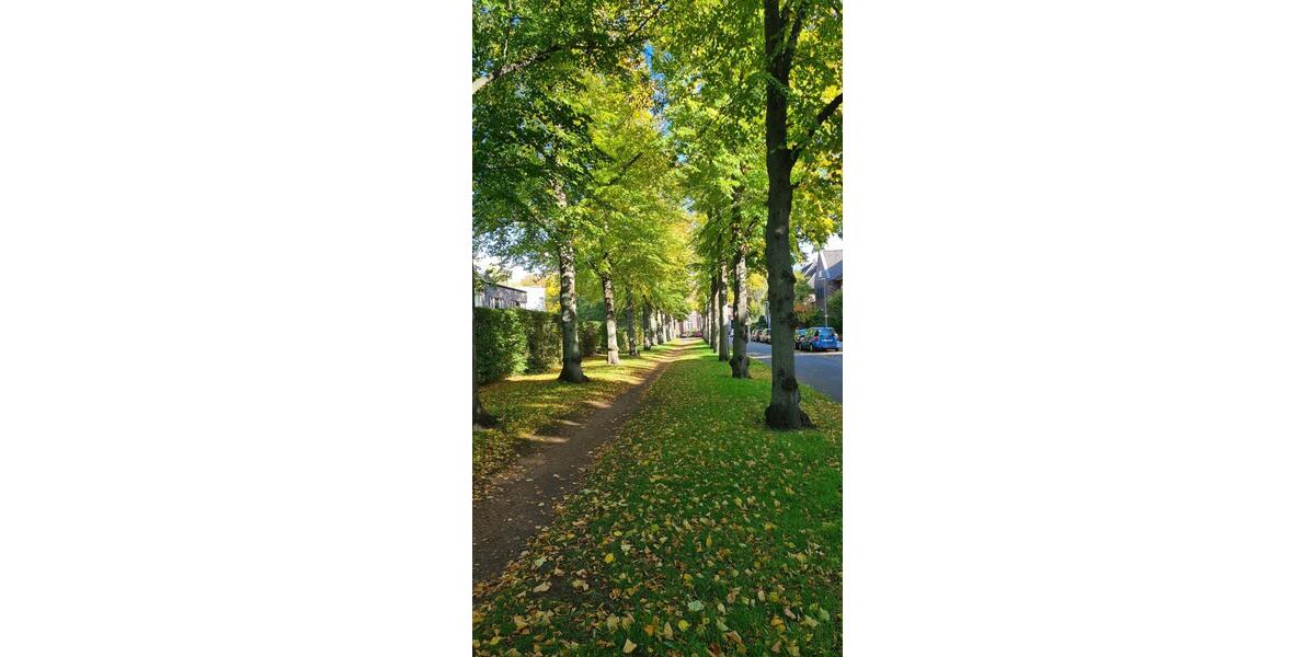 Etagenwohnung Hannover Buchholz-Kleefeld - 2 Zimmer, 68 m&sup2;, 790&euro; | Angebot:25210229