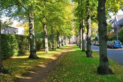 Wohnung Hannover Buchholz-Kleefeld - 2 Zimmer, 68 m&sup2;, 790&euro; | Angebot:25210229