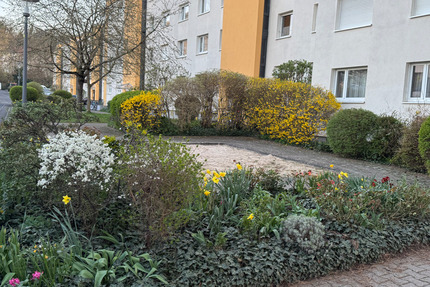 Vollmöblierte 3,5-Zi-Wohnung Wohnen auf Zeit bis Januar Zellerau 3 zimmer
