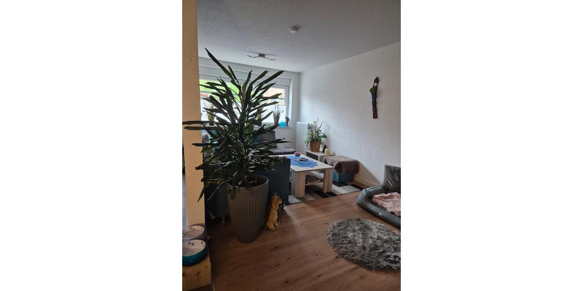 Erdgeschoßwohnung Riede - 4 Zimmer, 75 m&sup2;, 970&euro; | Angebot:26421652
