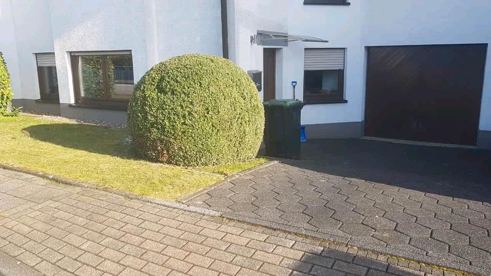 2- Zimmer Wohnung, 52 qm mit Einbauküche und Garage 2 zimmer