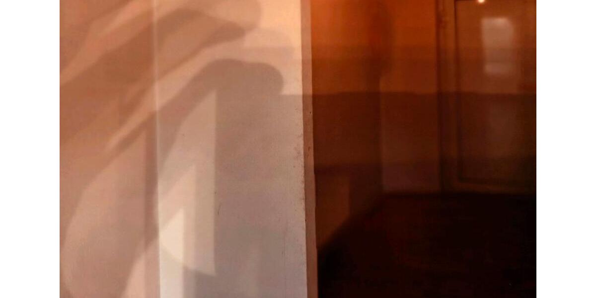 Eigentumswohnung (Sidonienhof) in Werdau 1 zimmer