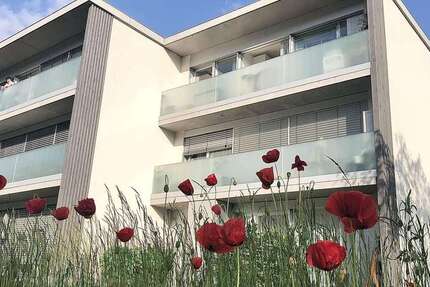 Wohnung Hausach - 3.5 Zimmer, 89 m&sup2;, 1.152&euro; | Angebot:26837052