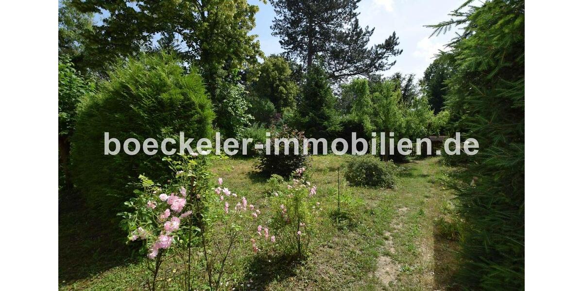 Erdgeschoßwohnung Naumburg (Saale) - 2 Zimmer, 51 m&sup2;, 380&euro; | Angebot:25900180