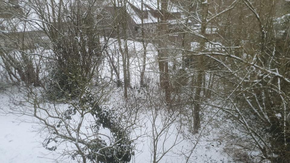 Etagenwohnung Wolfsburg Ehmen - 4 Zimmer, 86 m&sup2;, 946&euro; | Angebot:19370374