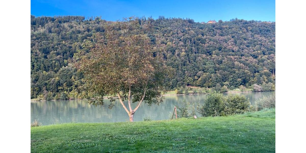 Villa an der Donau Nähe Passau in Wesenufer zu vermieten 5 zimmer