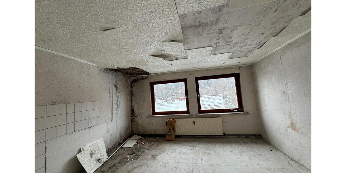 Mehrfamilienhaus, Wohnhaus Harz (LK Goslar) Bergstadt Altenau-Schulenberg i.O. - 18 Zimmer, 555 m&sup2;, 666&euro; | Angebot:22037152