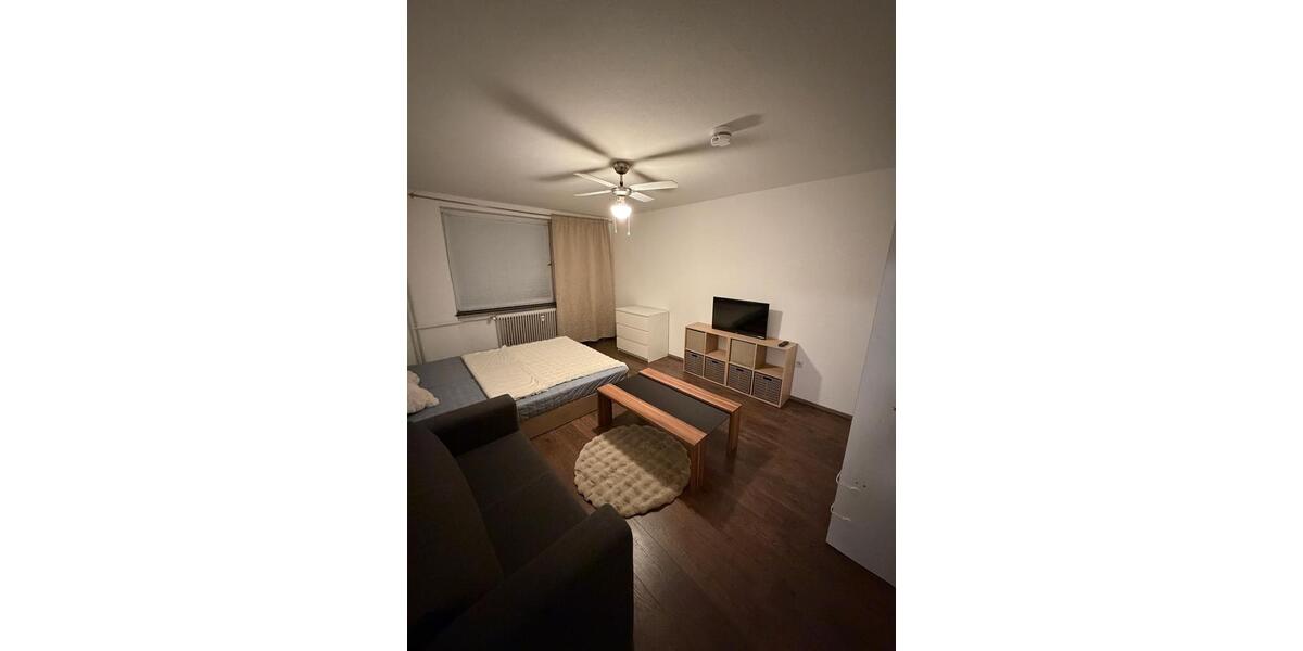 Etagenwohnung Löffingen - 1 Zimmer, 49 m&sup2;, 500&euro; | Angebot:24811600