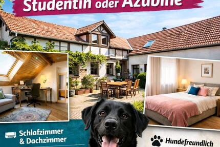 Wohnen auf Zeit Landau in der Pfalz - 1.5 Zimmer, 180 m&sup2;, 400&euro; | Angebot:24448568
