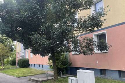 Wohnung Barsinghausen Egestorf am Deister - 1 Zimmer, 43 m&sup2;, 390&euro; | Angebot:24796183