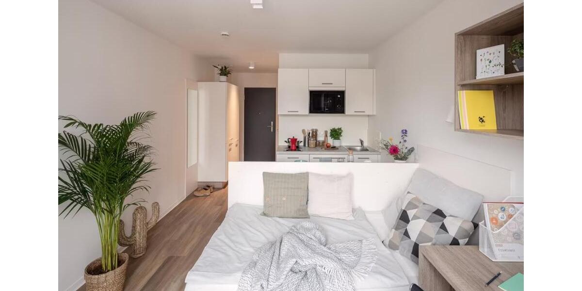 1-Zimmer Wohnung - The Fizz 1 zimmer