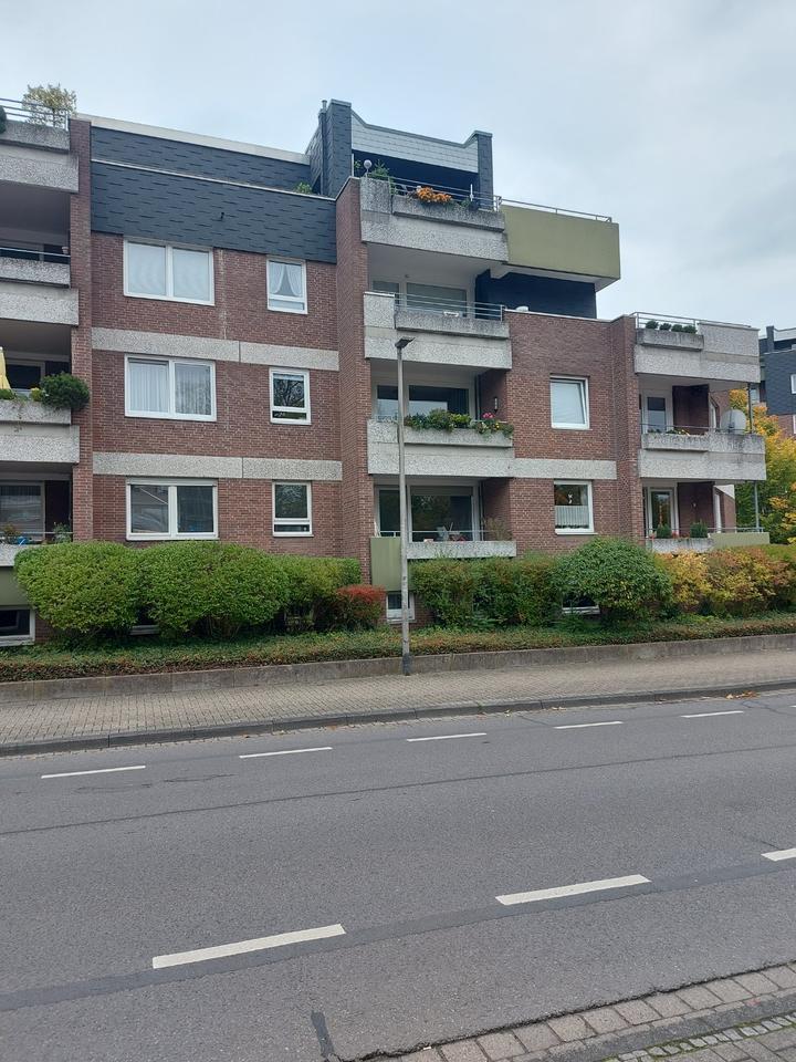 Wohnung zu mieten zimmer