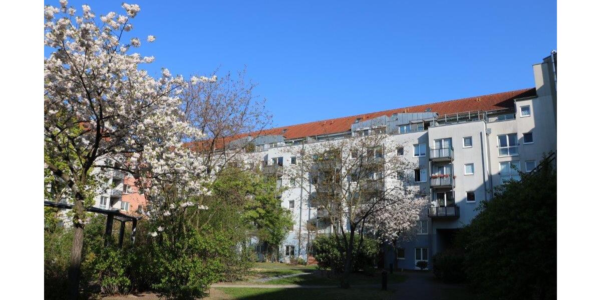 Balkonwohnung mit Laminatboden und separater Küche ab 01.06. frei - Etagenwohnung Dresden Friedrichstadt | Angebot:26391851