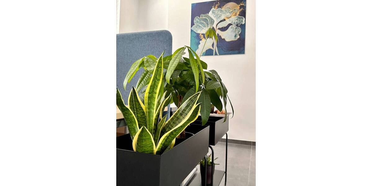 Gewerbeobjekt Brühl - 750&euro; | Angebot:26161476