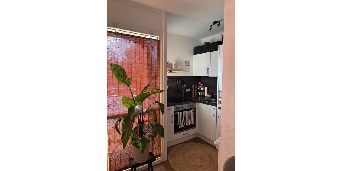 Etagenwohnung Lüneburg - 1 Zimmer, 28 m&sup2;, 507&euro; | Angebot:26652749