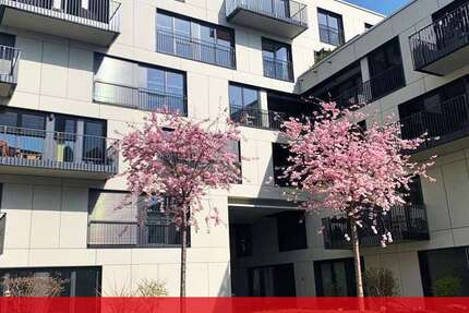Wohnung Aachen-Mitte Mitte - 3 Zimmer, 59 m&sup2;, 820&euro; | Angebot:26723569