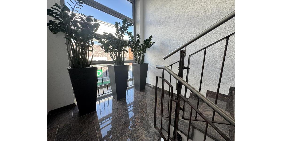 Etagenwohnung Cloppenburg - 4 Zimmer, 147 m&sup2;, 1.000&euro; | Angebot:25377047