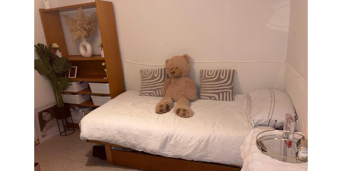 Wohnen auf Zeit Bonn Poppelsdorf - 1 Zimmer, 15 m&sup2;, 350&euro; | Angebot:26479150