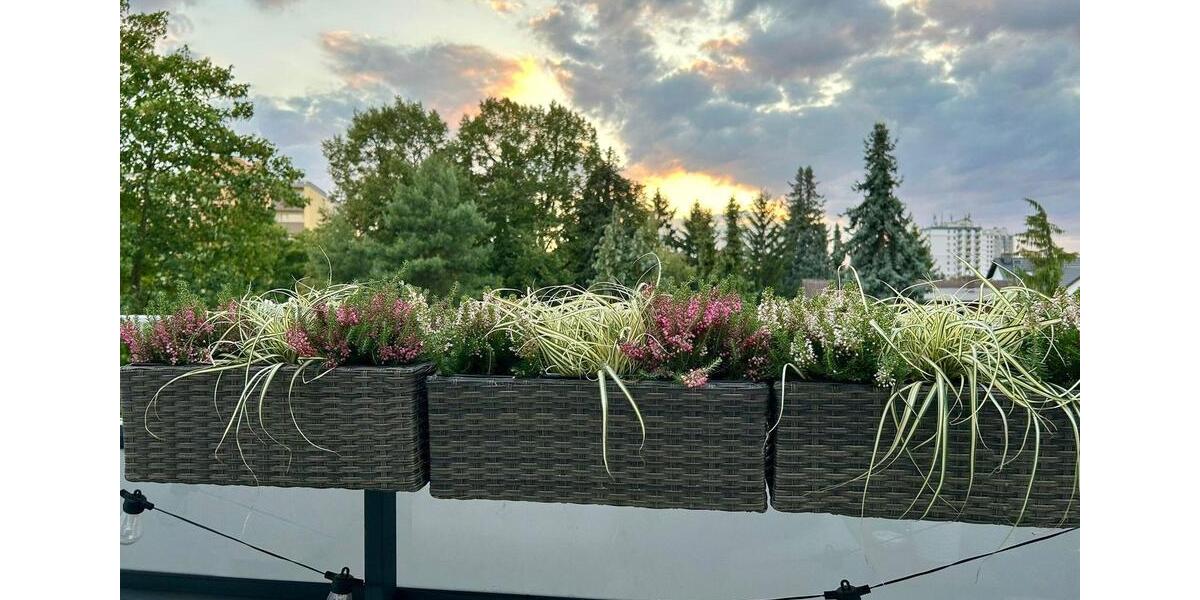 Einfamilienhaus Maintal - 4 Zimmer, 106 m&sup2;, 1.620&euro; | Angebot:25158266