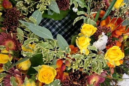 Wohnung Freiamt - 2 Zimmer, 58 m&sup2;, 630&euro; | Angebot:25924522