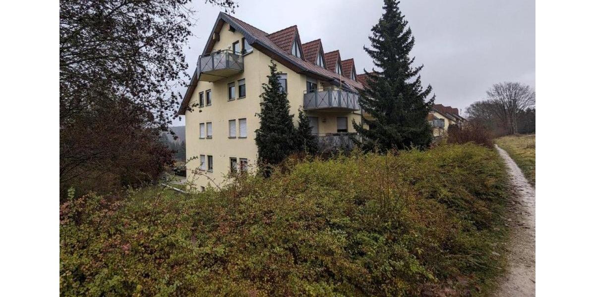 Erdgeschoßwohnung Bad Klosterlausnitz - 1 Zimmer, 44 m&sup2;, 300&euro; | Angebot:25852276
