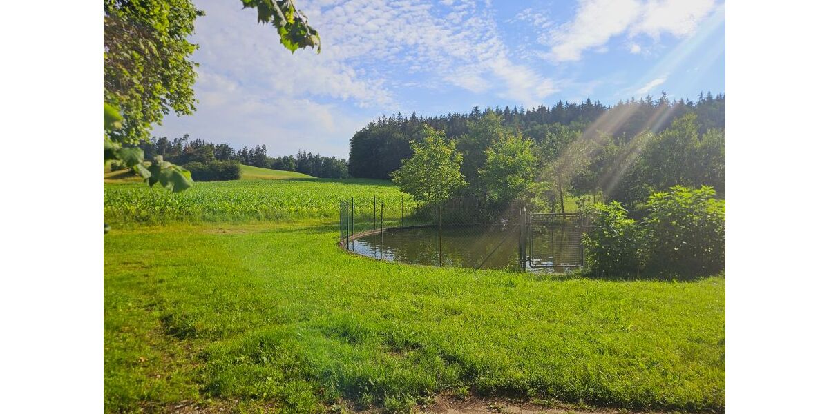 Atelier Wohnung auf dem Einödhof - Idylle pur - Loft - Studio - Atelier Tittmoning Murschall | Angebot:26763175