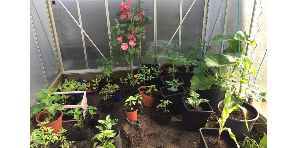 Wohnen auf Zeit Bad Münder am Deister - 1 Zimmer, 32 m&sup2;, 500&euro; | Angebot:25378824