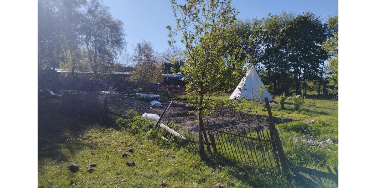 Wohnen auf Zeit Chorin - 3 Zimmer, 35 m&sup2;, 400&euro; | Angebot:25854954