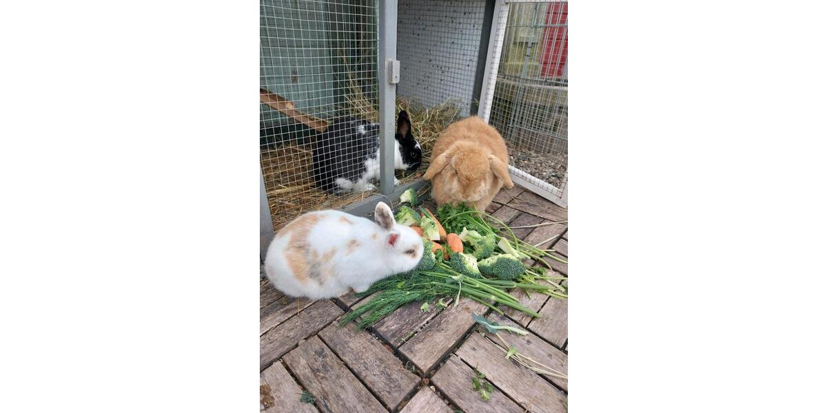 Gewerbeobjekt Neuried - 25&euro; | Angebot:21546900