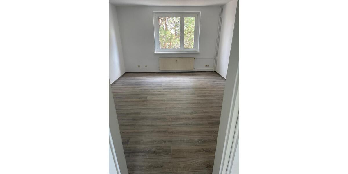 Etagenwohnung Elsteraue - 2 Zimmer, 47 m&sup2;, 280&euro; | Angebot:26391251