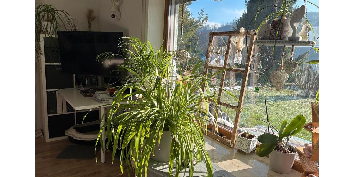 Terrassenwohnung Fuldatal - 1 Zimmer, 33 m&sup2;, 520&euro; | Angebot:25017575