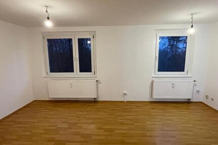 Wohnung Apolda - 1 Zimmer, 38 m&sup2;, 295&euro; | Angebot:25233262