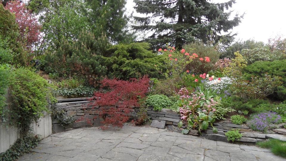 2-Zi. Single-Wohnung möbliertteilmöbliert in EFH in AdorfVogtl. 2 zimmer