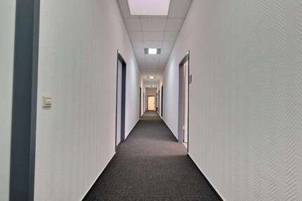 Wohnung zum Mieten in Mannheim 2.717 € 247 m² 6 zimmer