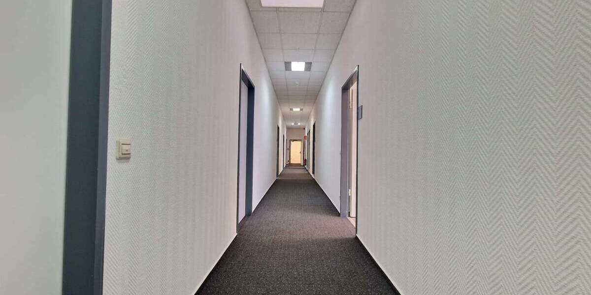 Wohnung zum Mieten in Mannheim 2.717 € 247 m² 6 zimmer