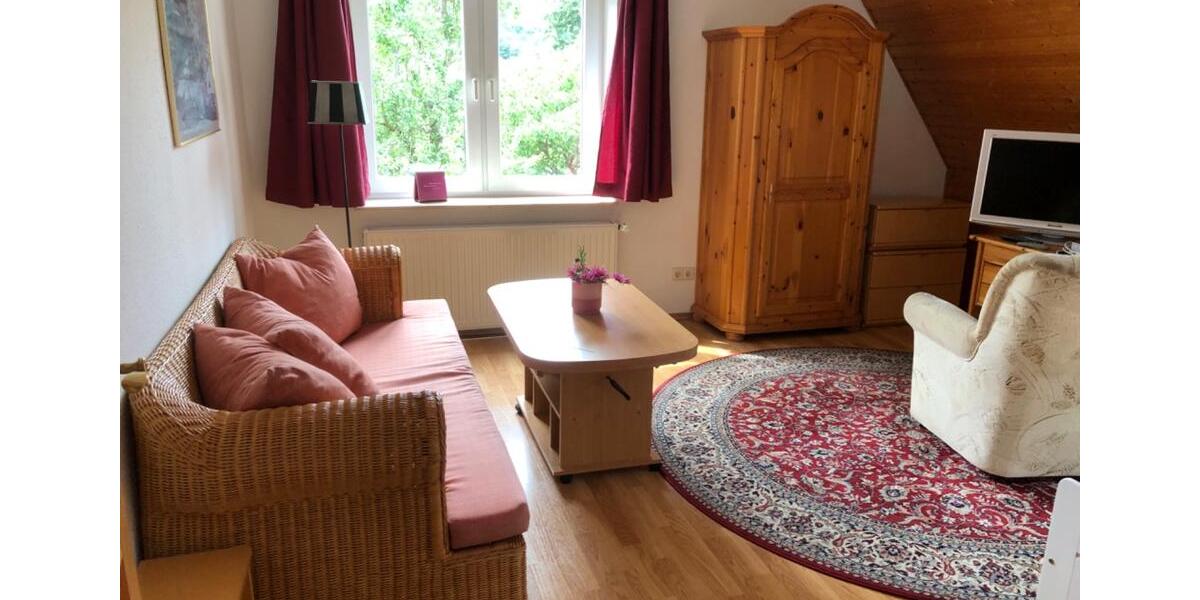 Wohnen auf Zeit Schwerin Altstadt - 1 Zimmer, 45 m&sup2;, 750&euro; | Angebot:26426748