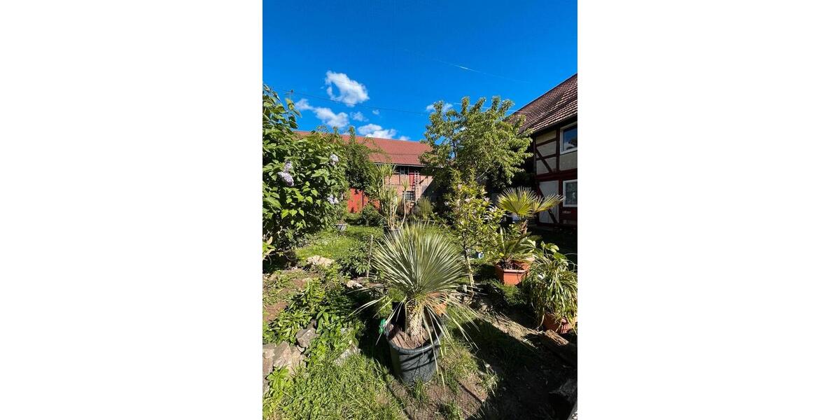 Etagenwohnung Ellrich - 2 Zimmer, 80 m&sup2;, 480&euro; | Angebot:26380522