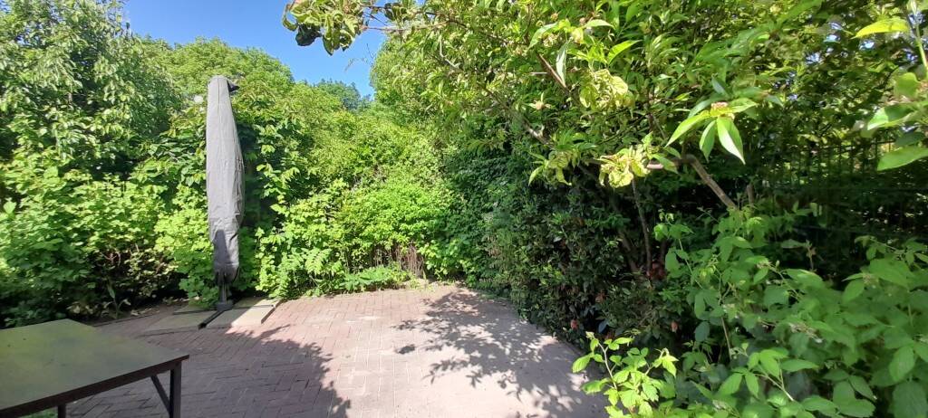 Doppelhaushälfte Rostock Diedrichshagen - 5 Zimmer, 131 m&sup2;, 1.300&euro; | Angebot:26751849