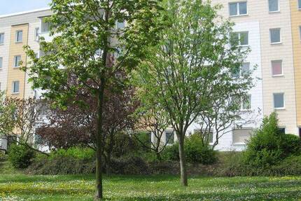 Wohnung Schkeuditz - 3 Zimmer, 60 m&sup2;, 540&euro; | Angebot:20949991