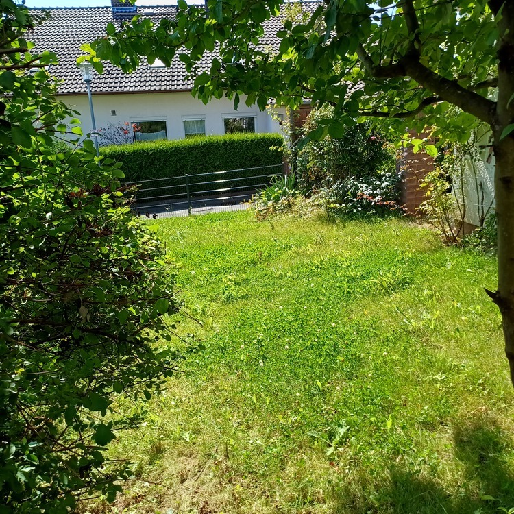 2-Zimmerwohnung mit Terrasse 2 zimmer