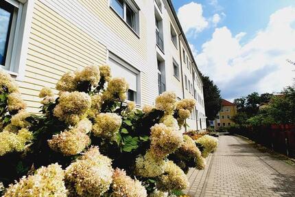 Wohnung Lauchhammer - 3 Zimmer, 65 m&sup2;, 387&euro; | Angebot:19446270