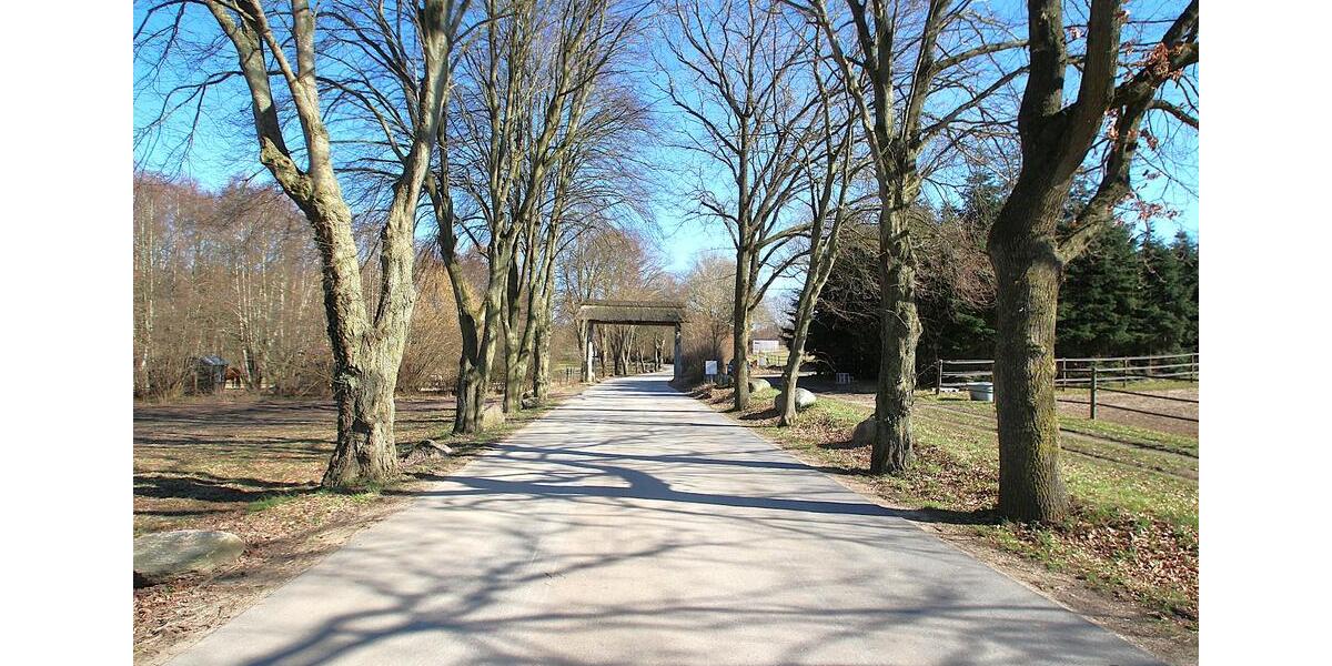 Etagenwohnung Malente - 3 Zimmer, 123 m&sup2;, 1.500&euro; | Angebot:25931111