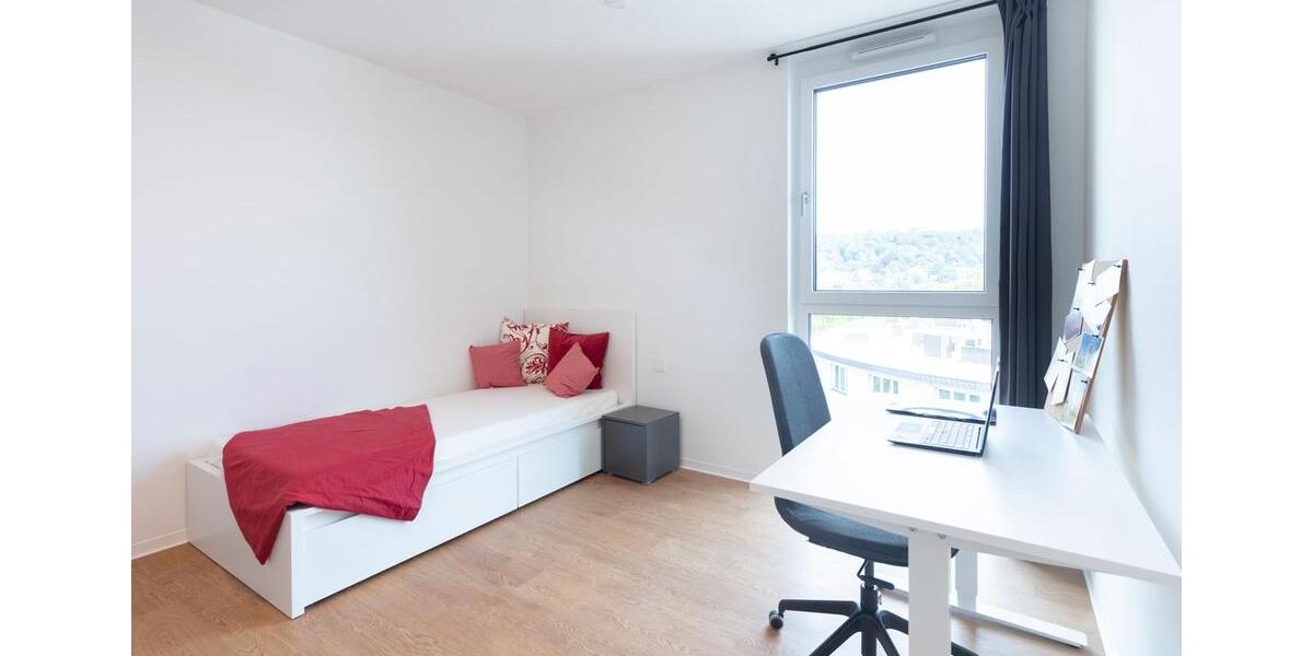 Wohnen auf Zeit Aachen Aachen-Mitte - 1 Zimmer, 34 m&sup2;, 750&euro; | Angebot:26236308