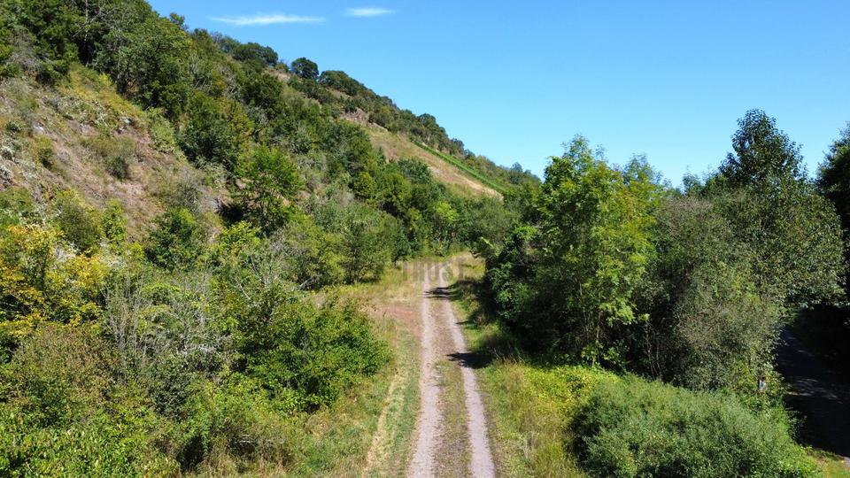 Gewerbeobjekt Hargesheim - 3.500&euro; | Angebot:17031513