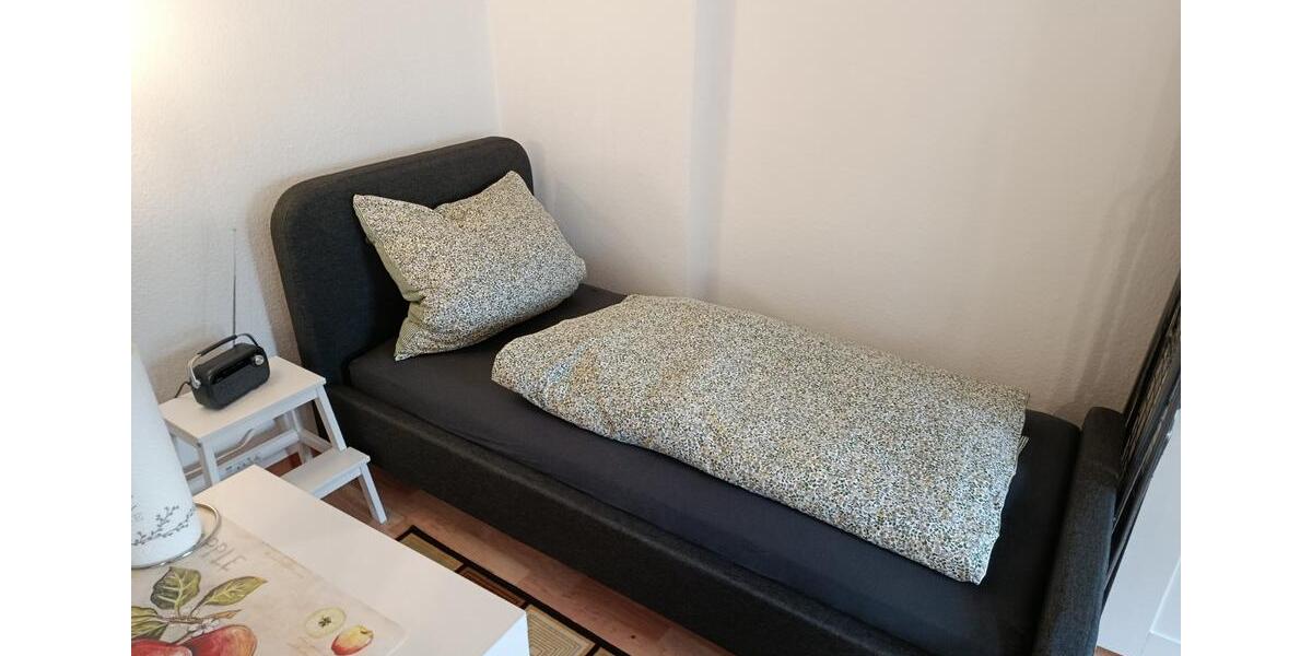 Wohnen auf Zeit Freiberg - 1 Zimmer, 28 m&sup2;, 600&euro; | Angebot:23804237