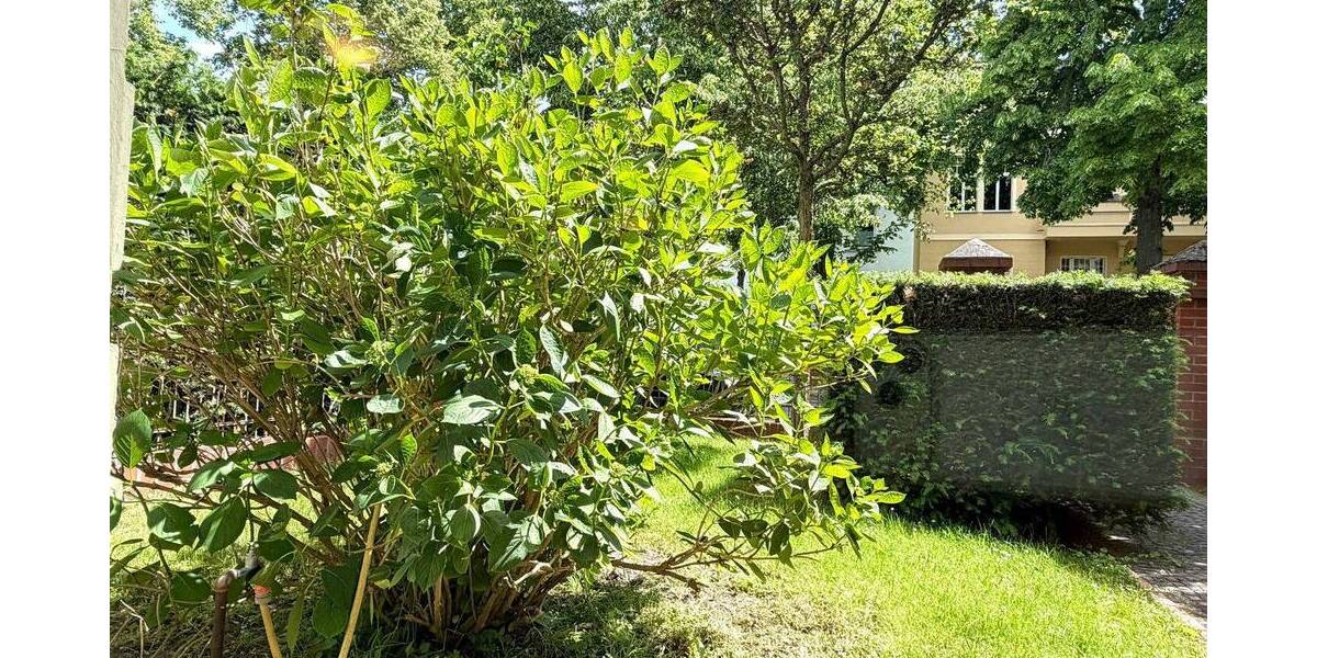 Etagenwohnung Berlin Lichterfelde - 2 Zimmer, 105 m&sup2;, 1.255&euro; | Angebot:26768208