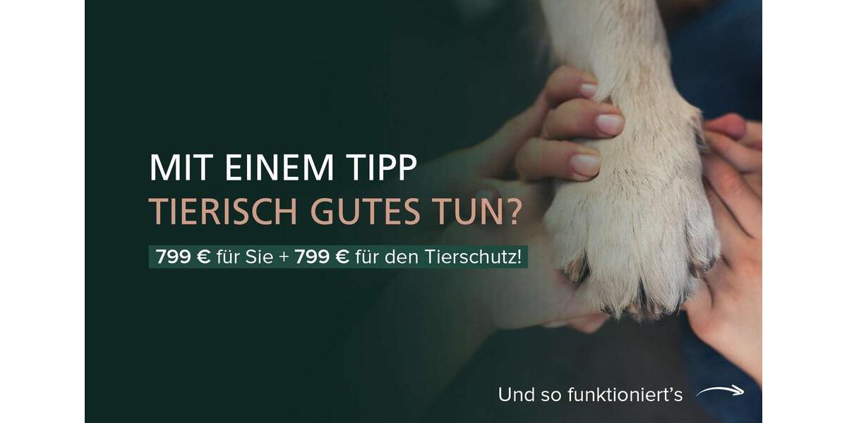 Gewerbeobjekt Rotenburg (Wümme) - 1.200&euro; | Angebot:24663199