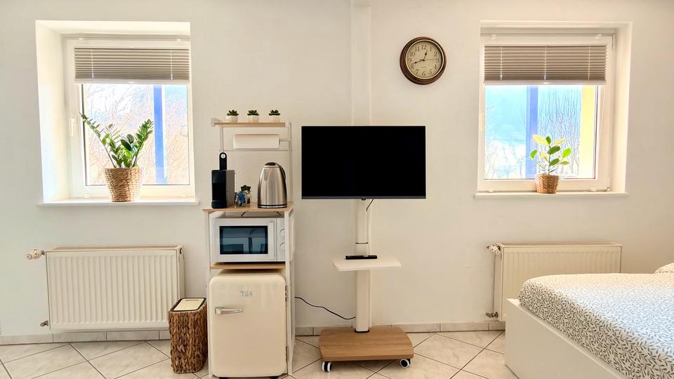 Wohnen auf Zeit Lörrach Brombach - 1 Zimmer, 23 m&sup2;, 66&euro; | Angebot:25088487