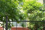 Etagenwohnung Berlin Lichterfelde - 2 Zimmer, 105 m&sup2;, 1.255&euro; | Angebot:26768208