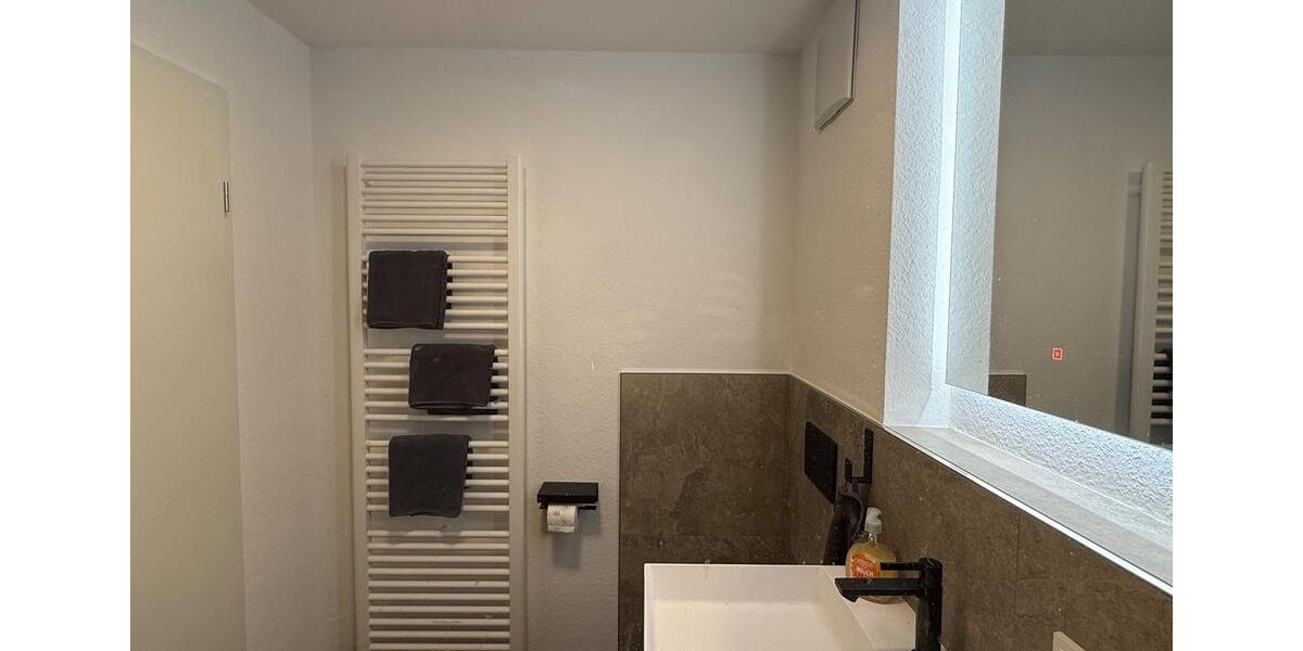 Wohnen auf Zeit Bietigheim-Bissingen Bissingen - 1 Zimmer, 25 m&sup2;, 790&euro; | Angebot:26210801